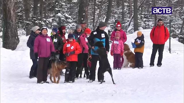 Соревнования 