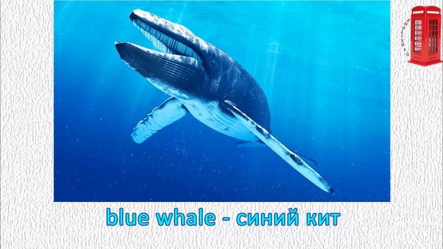 Excel 8 Grade Module 6 A Endangered Animals