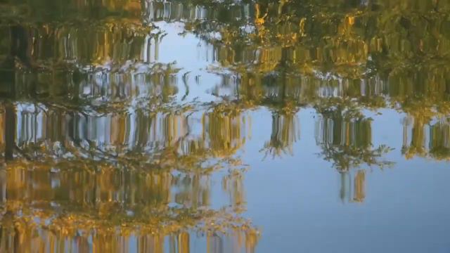 6969d7bec90909fbad303940acbf91d9