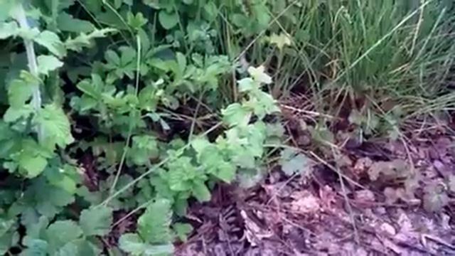 1a1a701de5ae52f27cc0b5b6cc14384d