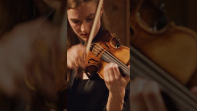 An Incredible Harmony Between Piano, Violin And Cello!