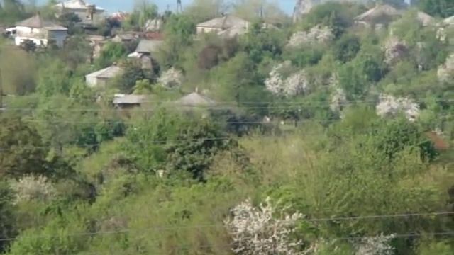 гудаута