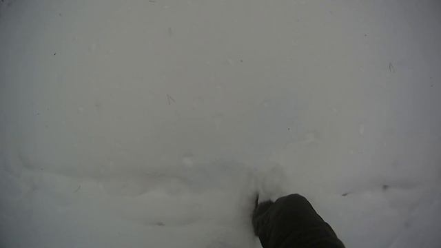 Зимний Лес 4K ! Тест Экшен Камеры X-TRY XTC-220 на улице при температуре -15