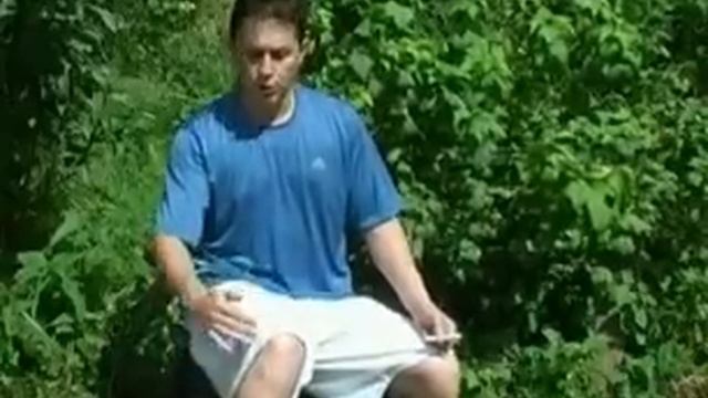 Прижигание Цзу-Сань-Ли