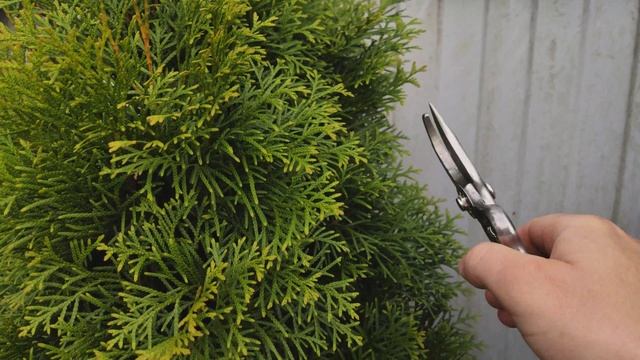 7b741b1360aaa18397680c49eea0a776