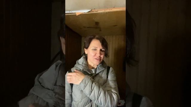 Зоозащита: права кошек | котодомик | Москва | 