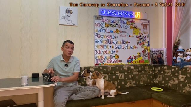 Человек собаке друг / 23.09.2023