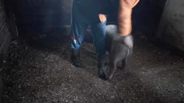 3ce8fe5f68a4515a7a39d4ad0a5b4c46