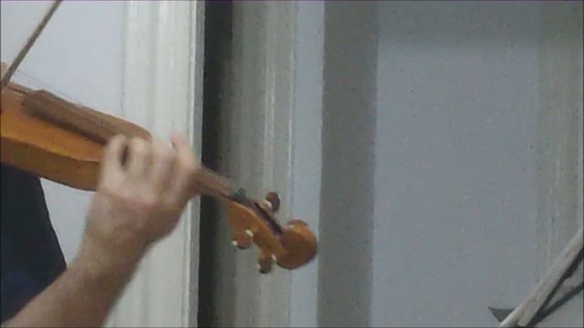Violin - Gudok 4/4 (Test 476
