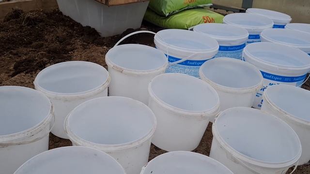 Как получить ранний урожай картофеля