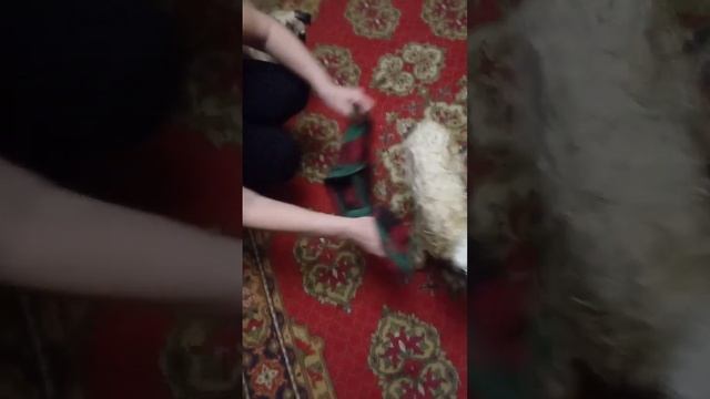 Опять пополнение