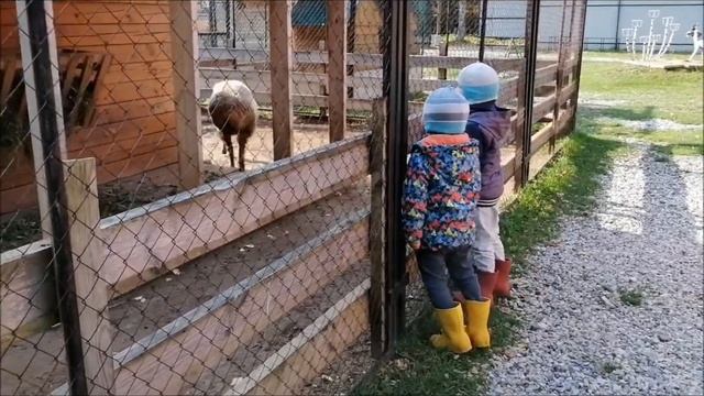Путешествие в Усть-Качку