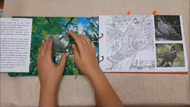 9ba89447b30178b00475995a94b89bb8