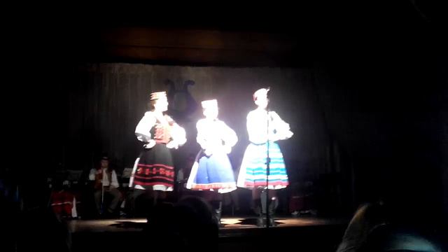 Концерт Закарпатской филармонии