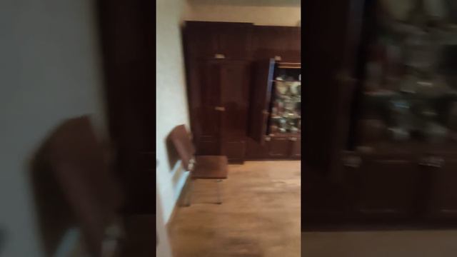 Детчино обзор квартиры