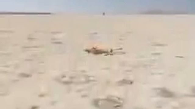 львумба но действия сняты на камеру -100000 мегапикселей ориг в описании