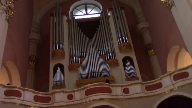 13.11.2021. ПОЛОЦК. СОФИЯ. ОРГАН