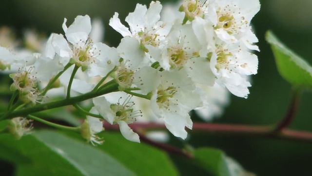 Canon S3 IS PowerShot  - Sample Photos(not Edited) Retro Camera