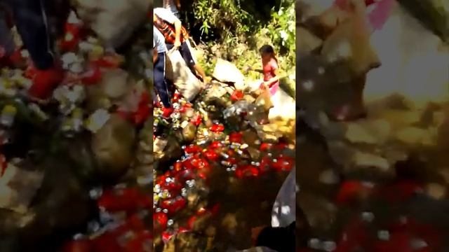 #своиновости 30 августа 2109