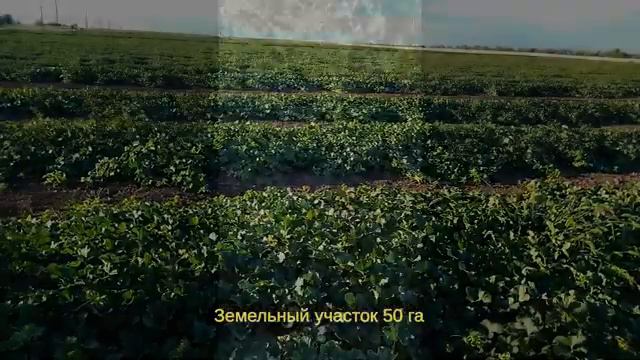 Продажа участка 50 га. Северный Крым.