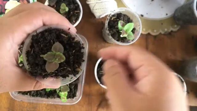 6abef299a47808b878322647dc7e9dac