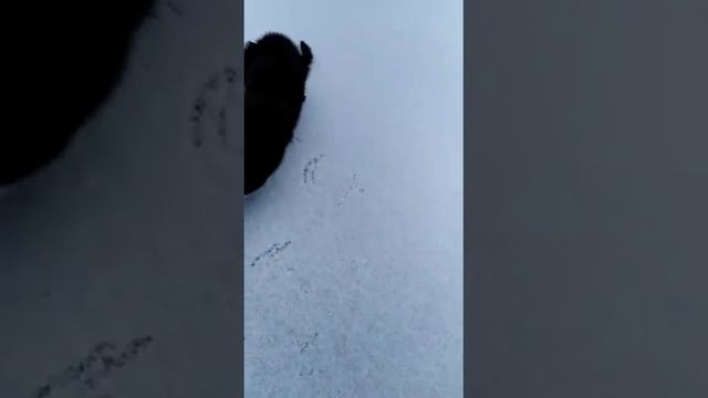 E3130e05d9071a2c8aa0f0ade3833ec6