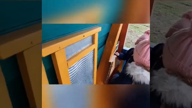 Музыкальная веранда