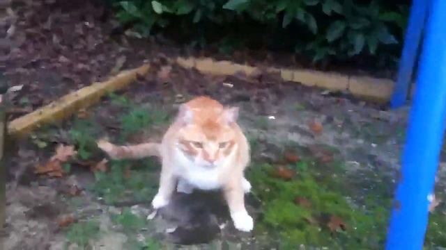 D4ec7631b4557dcd1b2890f22416a148