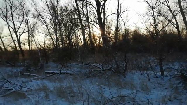 17c09b7c62c841d8750beccebb0b38a7