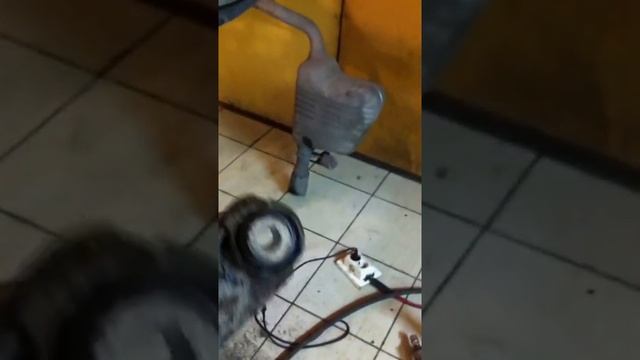 Дизайнерские находки для ремонта