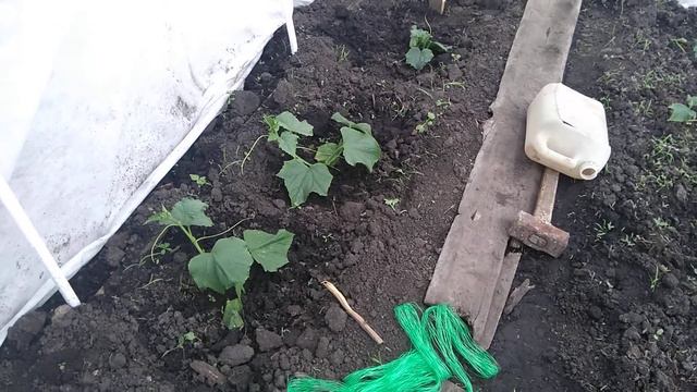 Извините за качество звука.Но у меня проблема с телефоном сломался.Поэтому и видео не могу сделать.