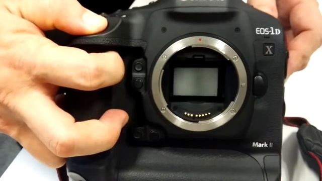 The 14 Fps Canon EOS1D-X Mark II Shutter Sound