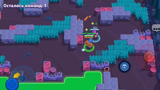 бравл старс🤪