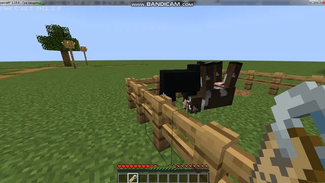 Мир смеха и радости