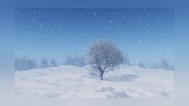 Какая красивая зима!