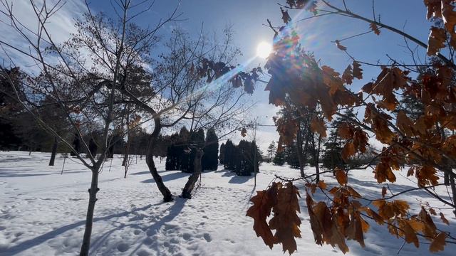 Саксофон, Дудук, очень красивая музыка  Музыка для души