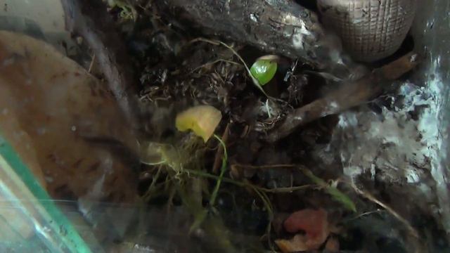 Ничего плохого я не делаю