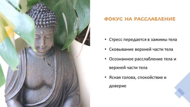 Расслабление плеч, шеи и челюсти / День пятый / 7 дней осознанности, медитации и любви