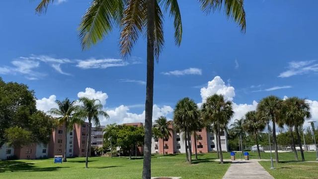 FULL Day Of Synchro Rehearsals ?♀️ | Bay Vista Rehearsals |  Oasis Of The Seas ?