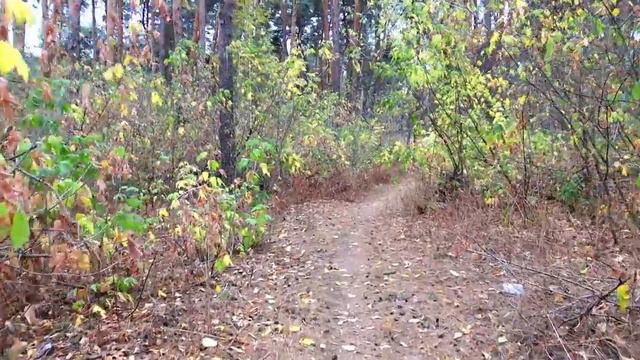 Cdd73616fa6a9ff9681342adab80b1af