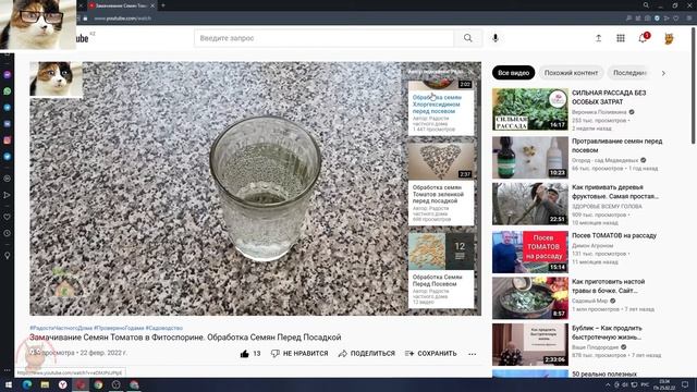 Мастерство в Творчестве
