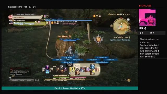 Final Fantasy 14 Famfrit Server Questing Gladiator DUNGEON