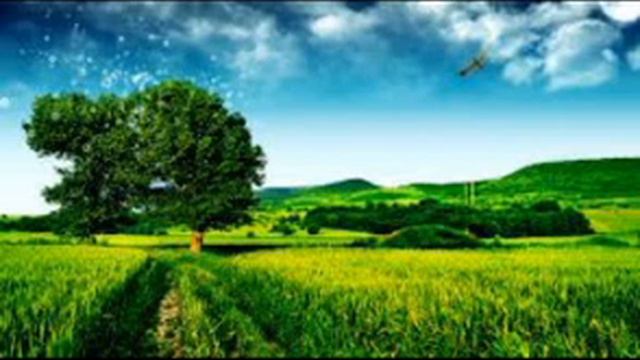 In And Out Of Love With Violin (instrumental) **