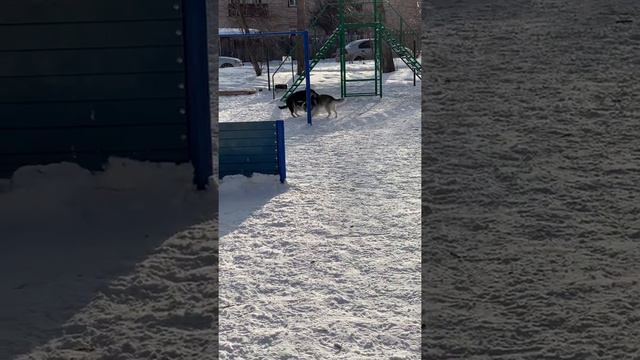 Fdda8106247049abaf09b6c3b4443e7c