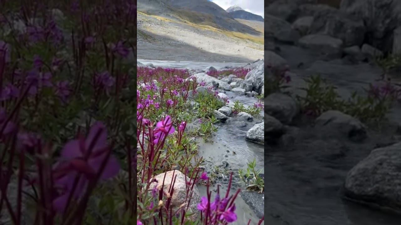 Талдура 2022. Полная версия уже на канале