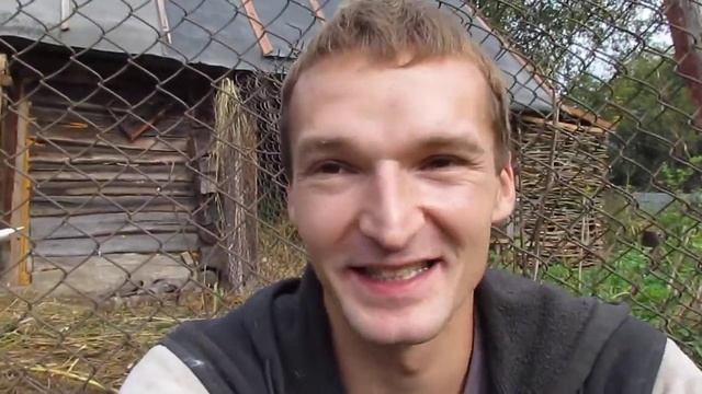 АСД козам, АСД курам