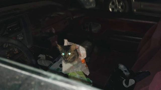 Мода для Мужчин