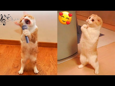 9f4dbcb4399aef559eedd6d327ecbfa2