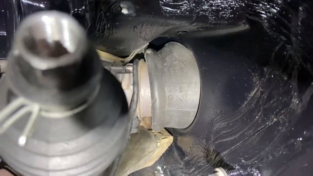 Ремонтные акварели декоративного вдохновения