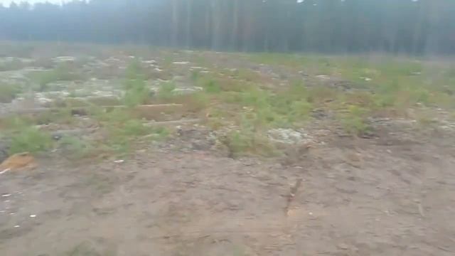 Ооо струги нижний склад работа на делянки